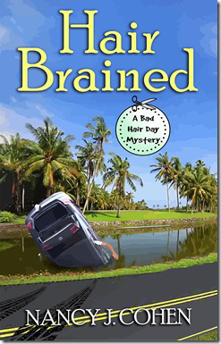 HAIR BRAINED ebook