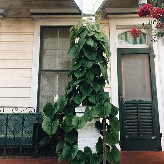 Let It Be Sunday, 125!