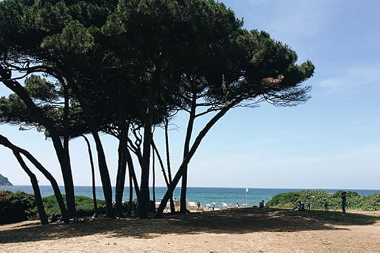 Baratti-feature