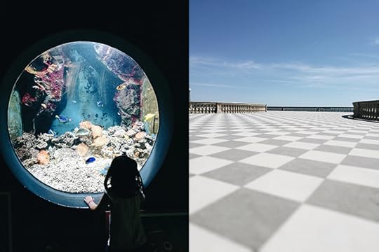 Livorno-acquarium-terrazza-mascagni