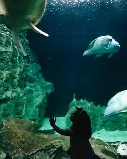 Livorno-aquarium