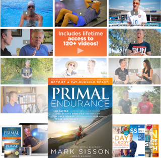 Primal_Endurance_Inline