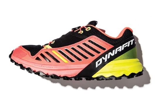 Dynafit Alpine Pro