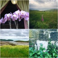 Psychic Self Care – Free oracle
