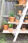 Ladder Garden