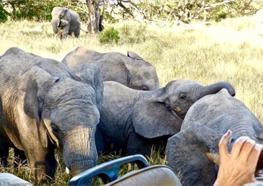 The Mystery: Approaching Elephant People, Deena Metzger