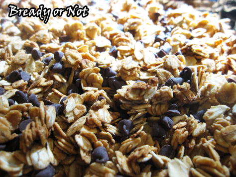 Bready or Not: Peanut Butter Chocolate Chip Granola 