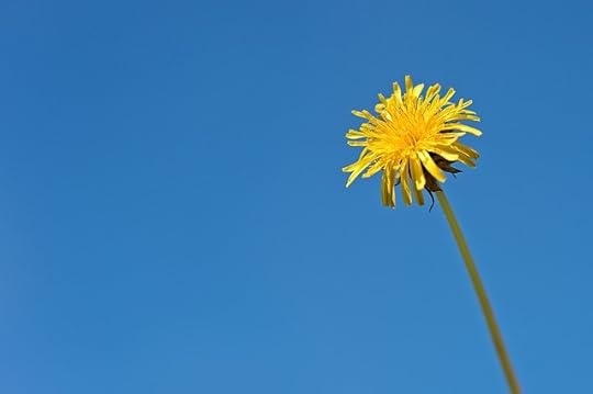 essentialism minimalism simplicity
