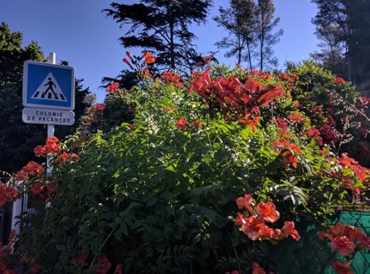 Colonie des vacances