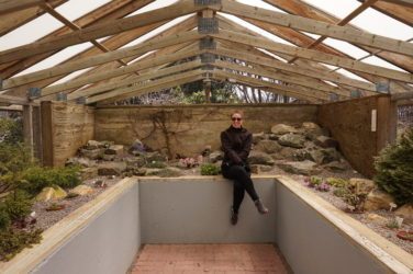 Dr. Laura Nurse Naturopathic Doctor sitting