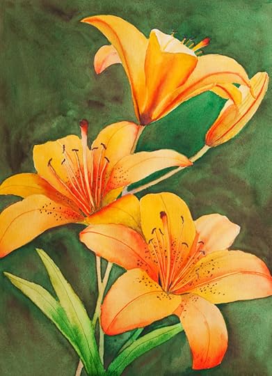 provincial flower - western red lily