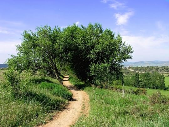 The Little Way to Heaven.