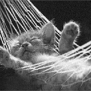 Image result for dreams