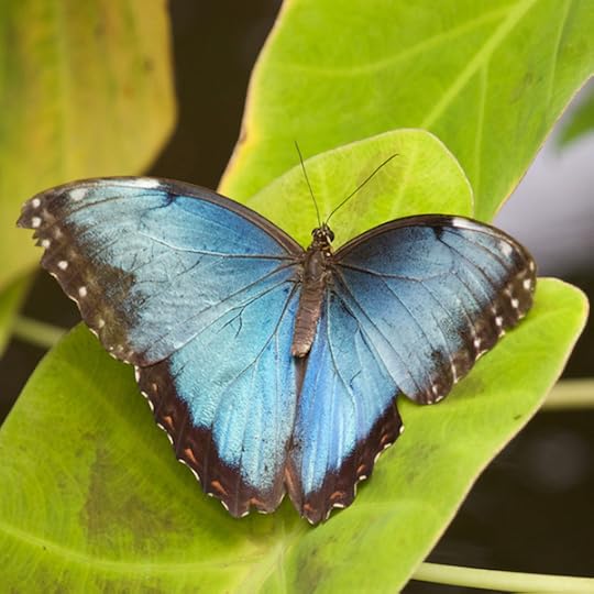 TheMantra_MotherhoodIsItForMe