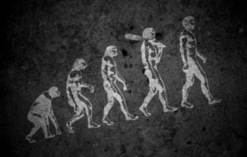 Evolution Theory