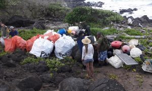 The Beach Doesn’t Care Whose Fault It Is