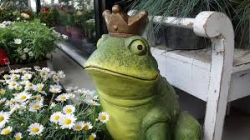 Frog Prince