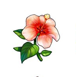 description