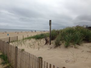 Doldrums, Sand Dune in Ocean City, Maryland