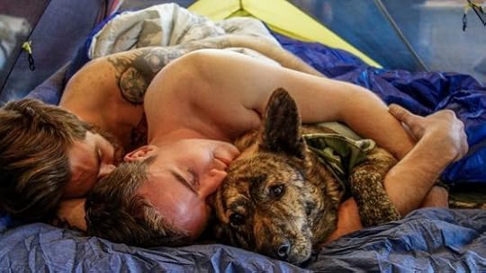 850326f95aaf8c23771d1982e2ef919d.jpg (800×450)