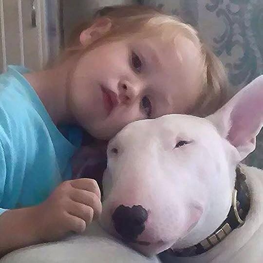 Bull Terrier safe with children