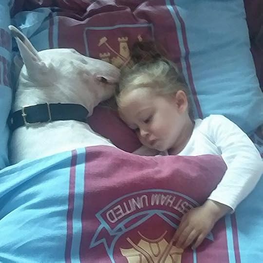 bully puppy sleeping