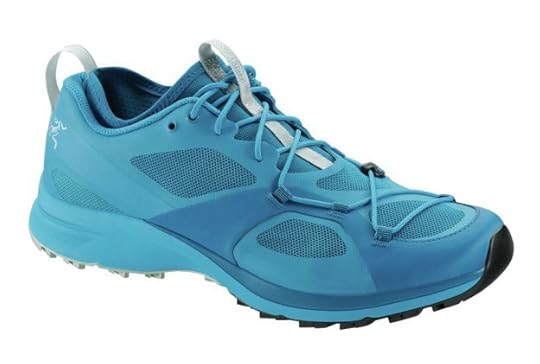 Arc’Teryx Norvan VT, $170