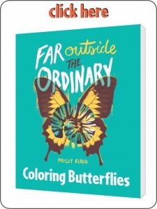 00 Foto CB for Adults 1