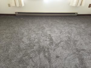 New Carpet-Library