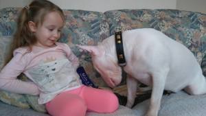 1915468_1029895733748862_8947798362105929724_n