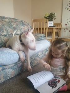 12675081_1029895233748912_629251730_o