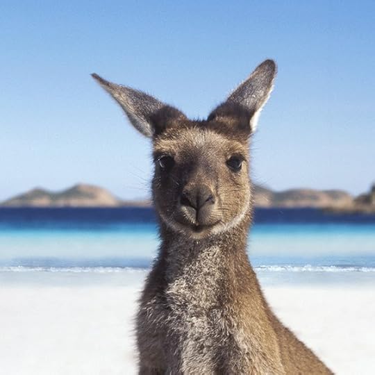 Image result for australia