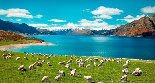 Image result for new zealand