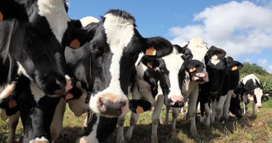 scale your startup cattle