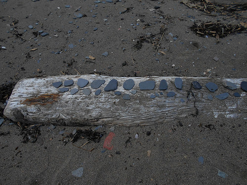 shale (and coal) on driftwood