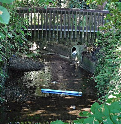 Pinn River looking west from Bridge Street Pinner