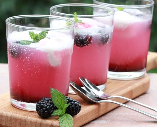 Blackberry Coolers