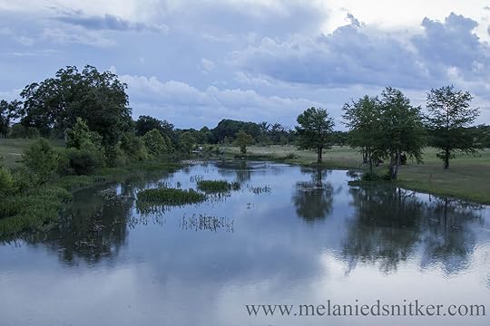 Photography: Beauty in the Texas Hill Country - Photos by Melanie D. Snitker