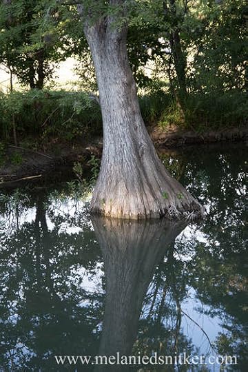 Photography: Beauty in the Texas Hill Country - Photos by Melanie D. Snitker