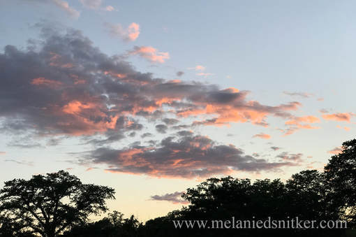 Photography: Beauty in the Texas Hill Country - Photos by Melanie D. Snitker