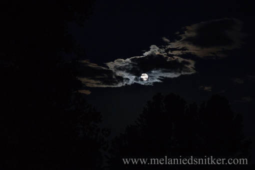 Photography: Beauty in the Texas Hill Country - Photos by Melanie D. Snitker