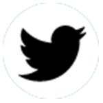 twitter-white