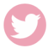 light pink - twitter