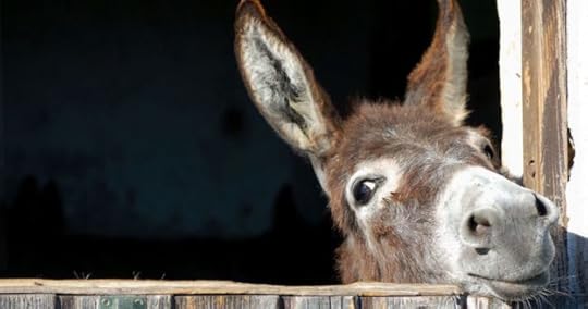 Donkey Will Not Do List