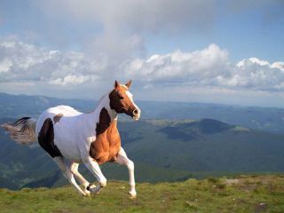 Image result for sensitive