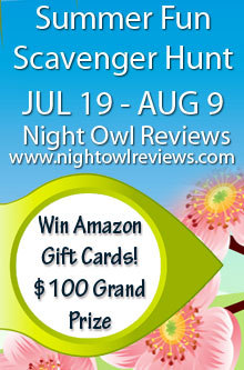 Night Owl Reviews Web Hunt