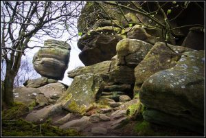 Life Betwixt - There is No Center, Intentional Insights, Soul Intent Arts, Photo by Stephen Bowler