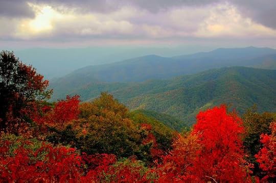I regret, at times, that we did not move to the Smokey Mt. area of Tennessee, we gave it serious thought! Maybe it is not out of the running for a later time! LOVE this place!