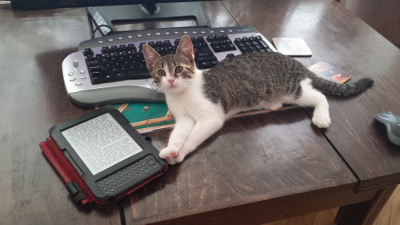 Reviewing accessories