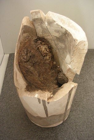 Nebiri's lungs 